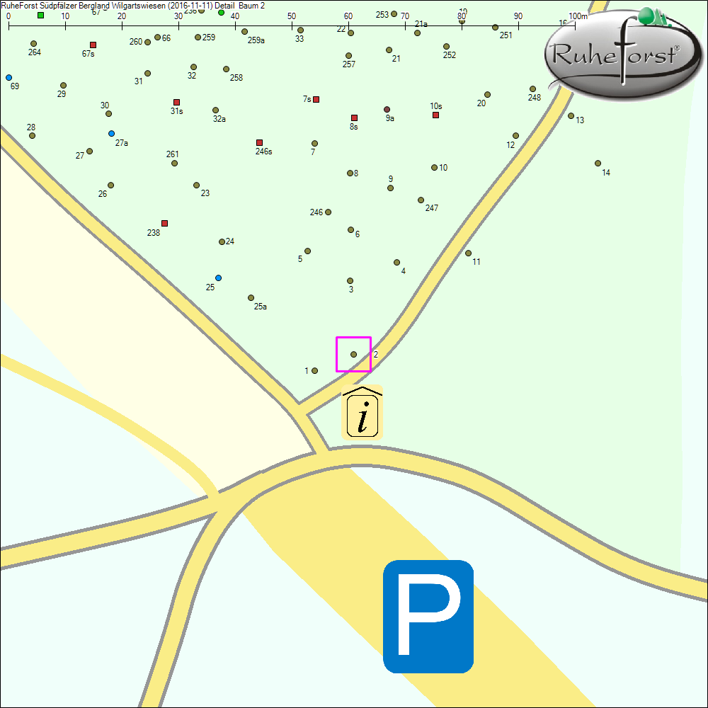 Detailkarte zu Baum 2