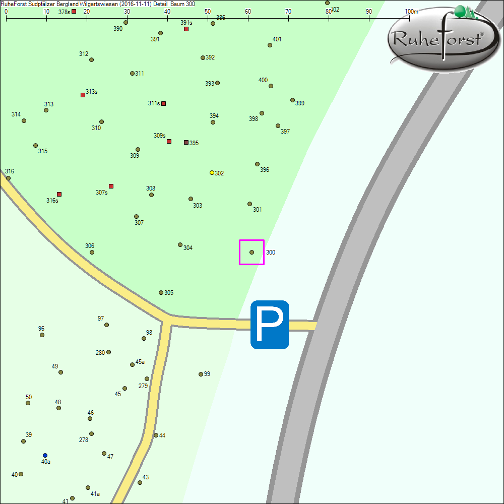 Detailkarte zu Baum 300