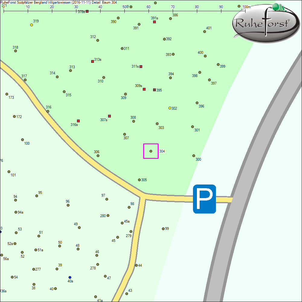Detailkarte zu Baum 304
