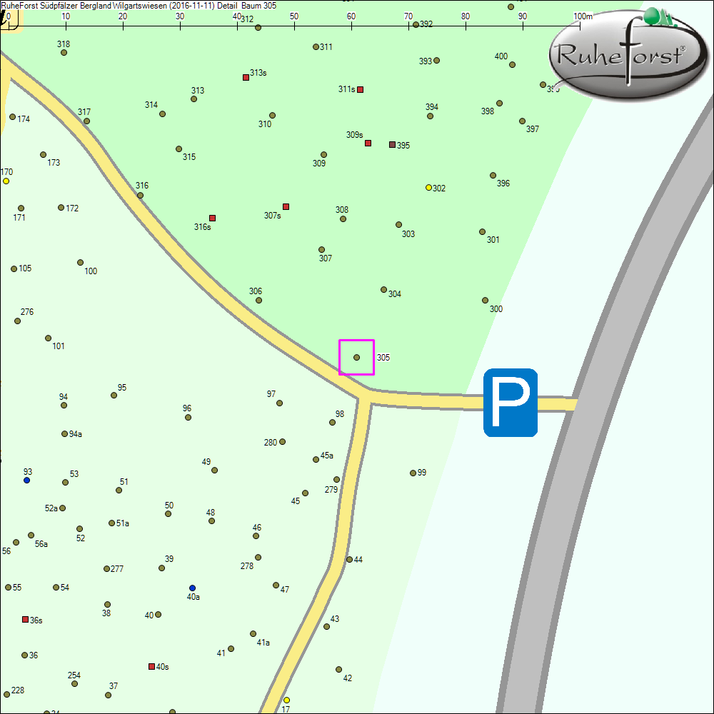 Detailkarte zu Baum 305