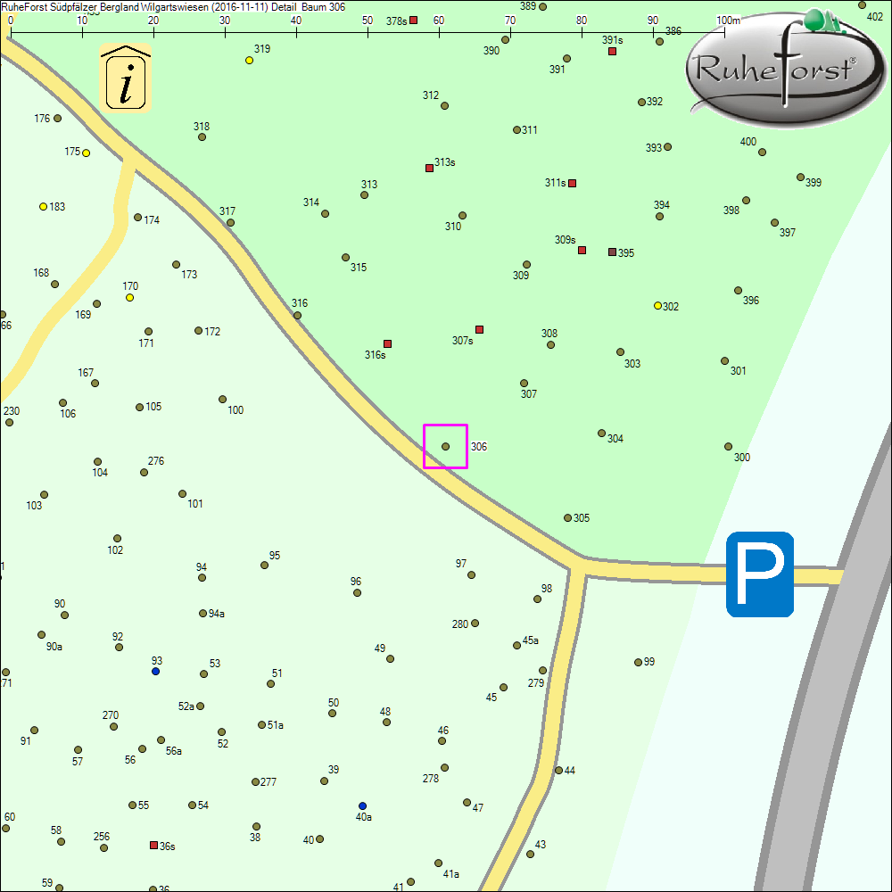 Detailkarte zu Baum 306