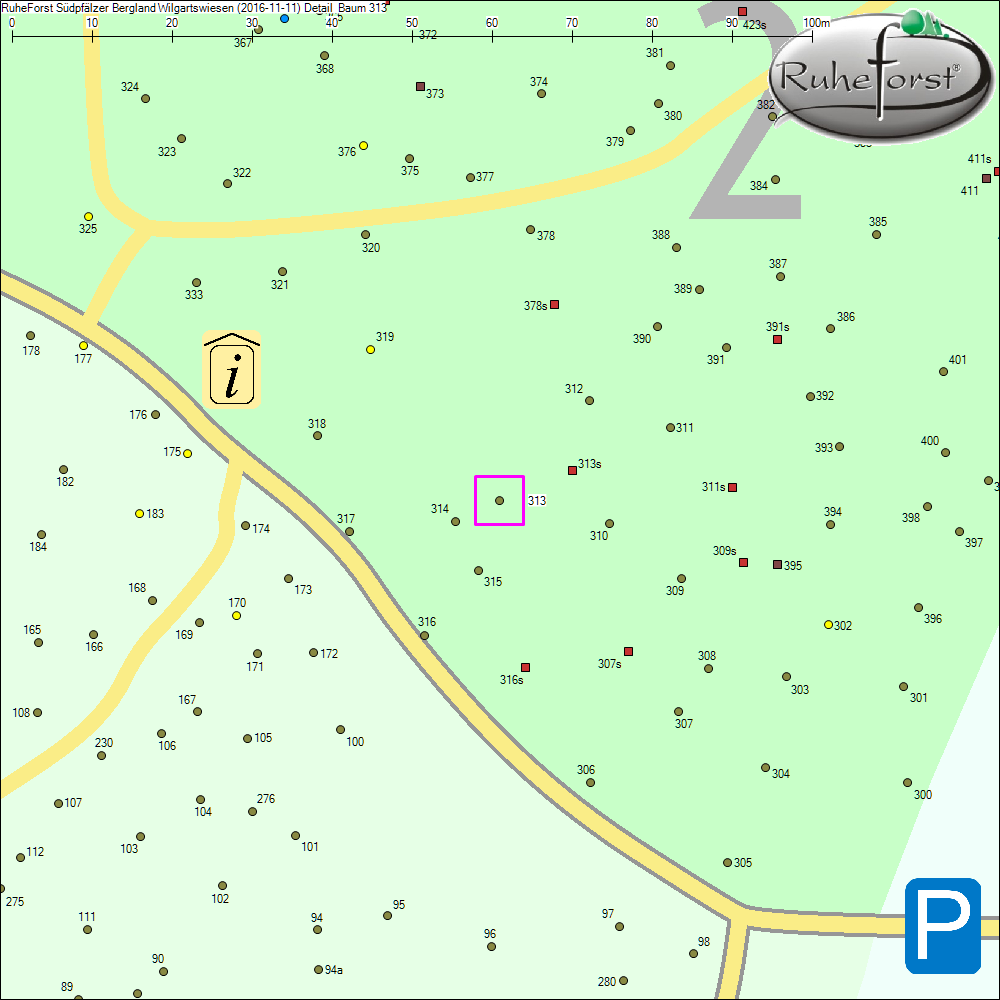 Detailkarte zu Baum 313