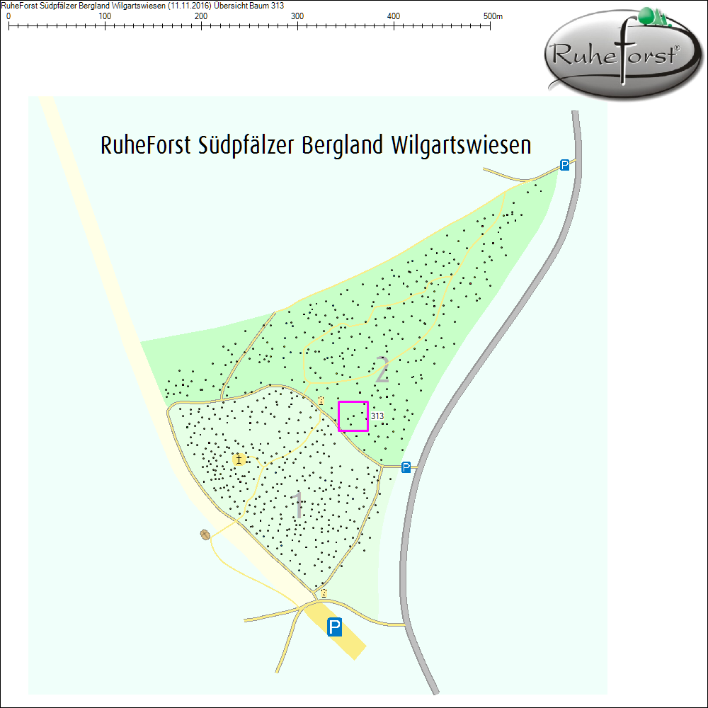 Übersichtskarte zu Baum 313