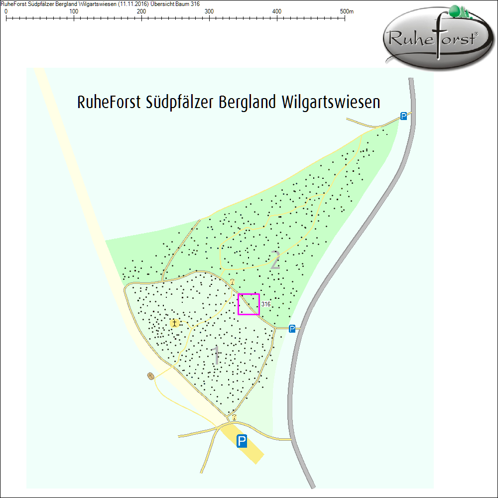Übersichtskarte zu Baum 316