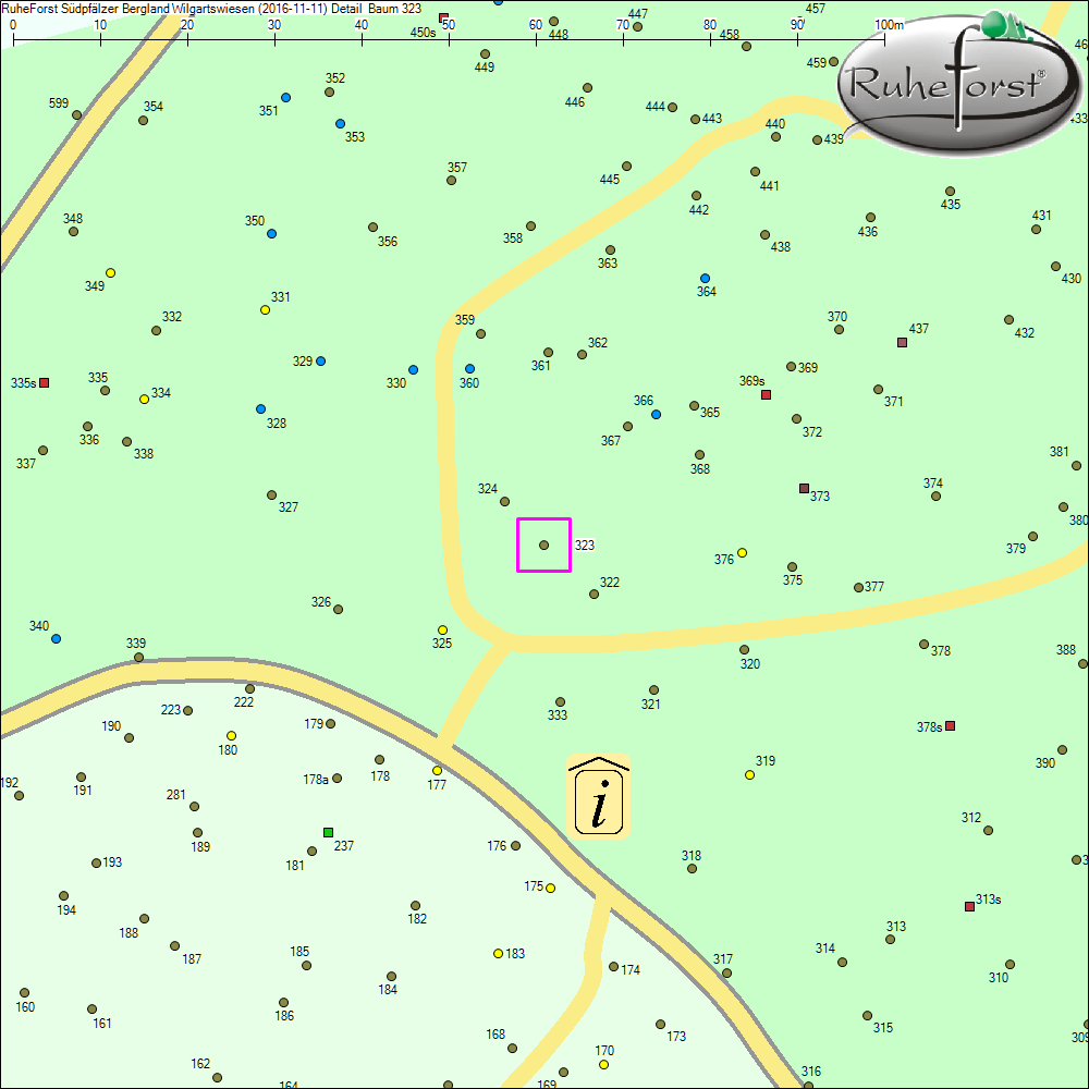 Detailkarte zu Baum 323
