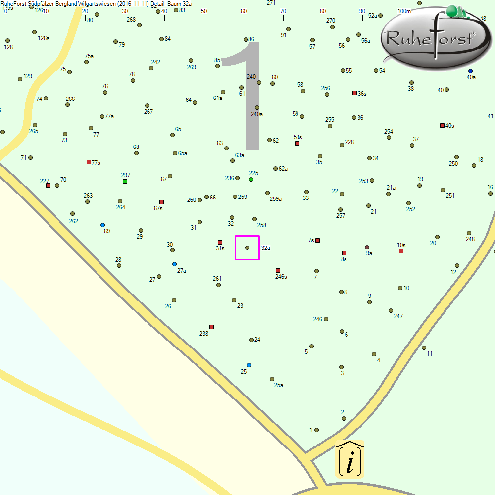 Detailkarte zu Baum 32a