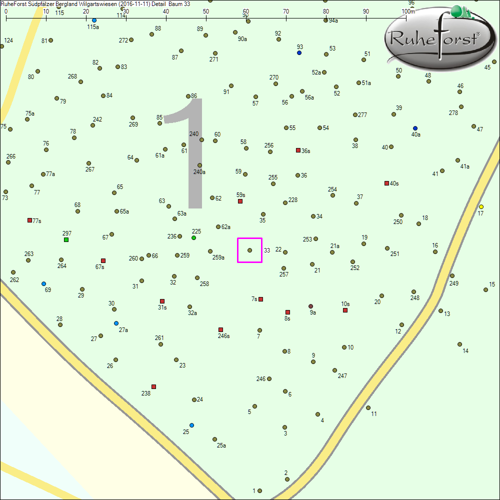 Detailkarte zu Baum 33