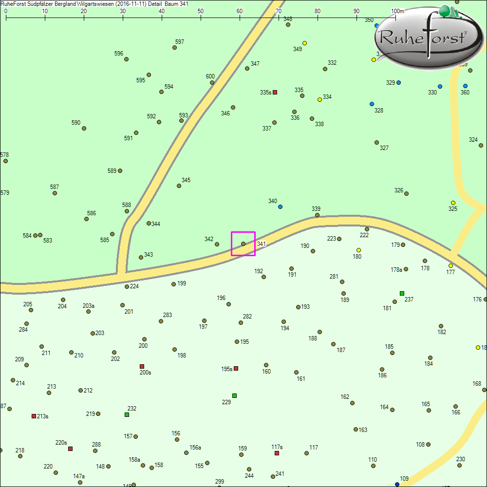 Detailkarte zu Baum 341