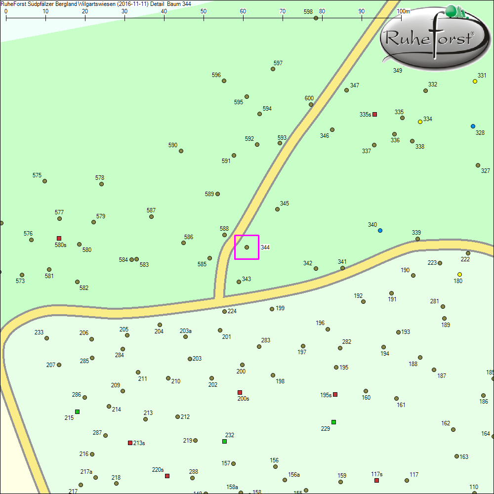 Detailkarte zu Baum 344