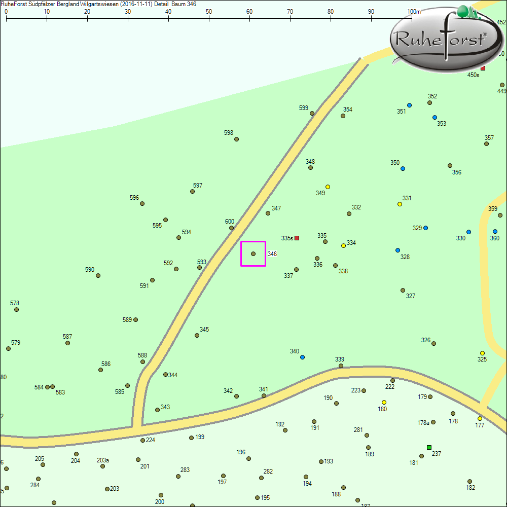 Detailkarte zu Baum 346