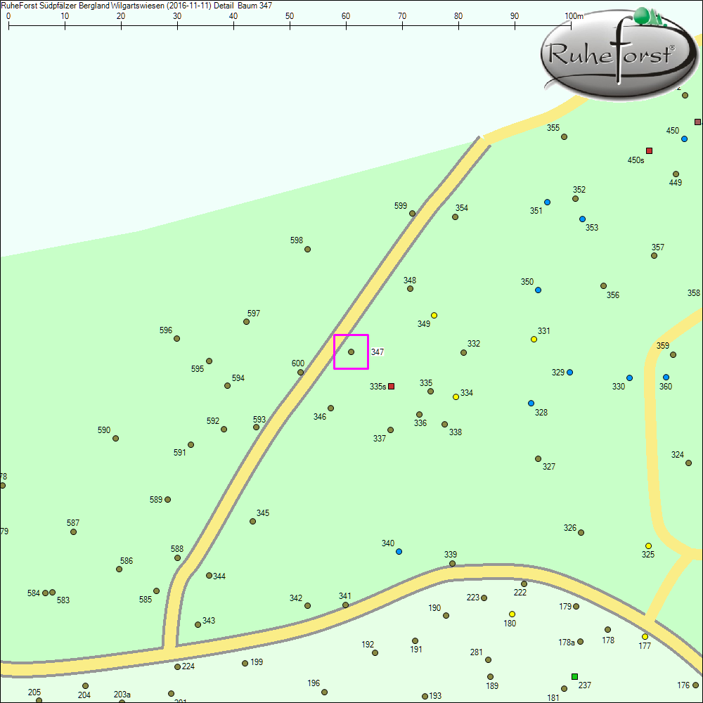 Detailkarte zu Baum 347