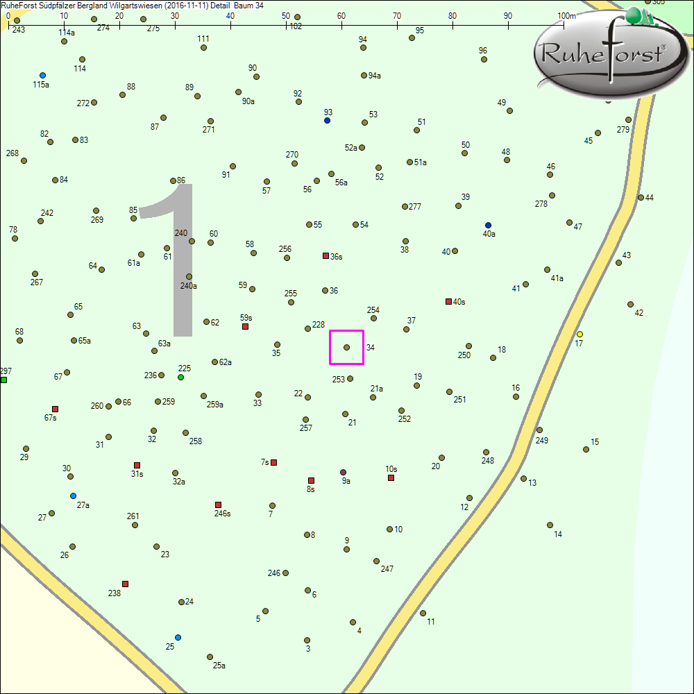 Detailkarte zu Baum 34