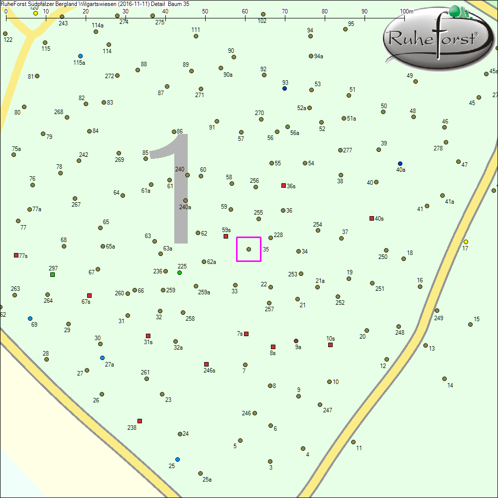 Detailkarte zu Baum 35