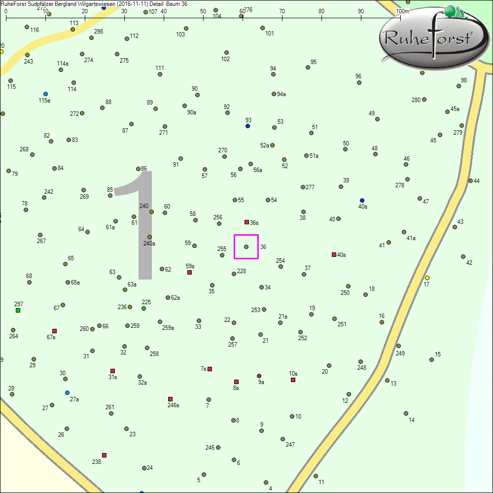 Detailkarte zu Baum 36
