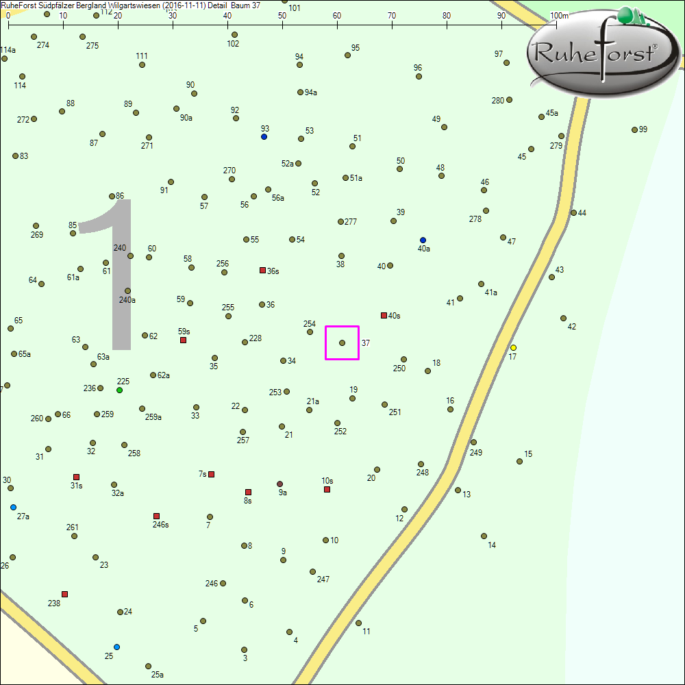 Detailkarte zu Baum 37