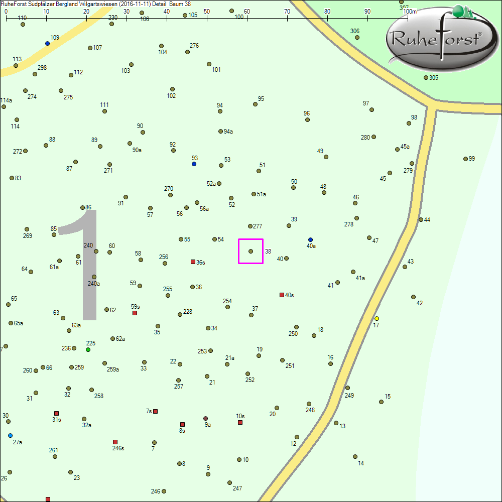 Detailkarte zu Baum 38