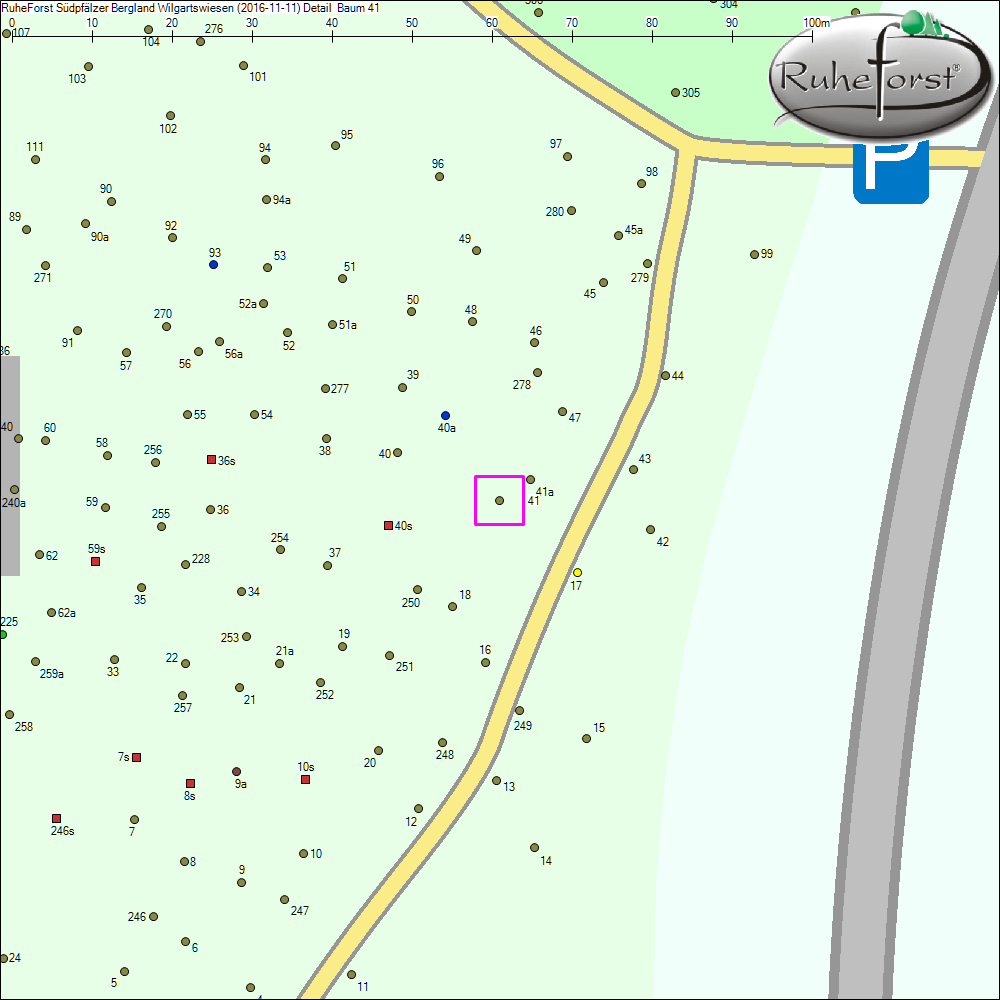 Detailkarte zu Baum 41