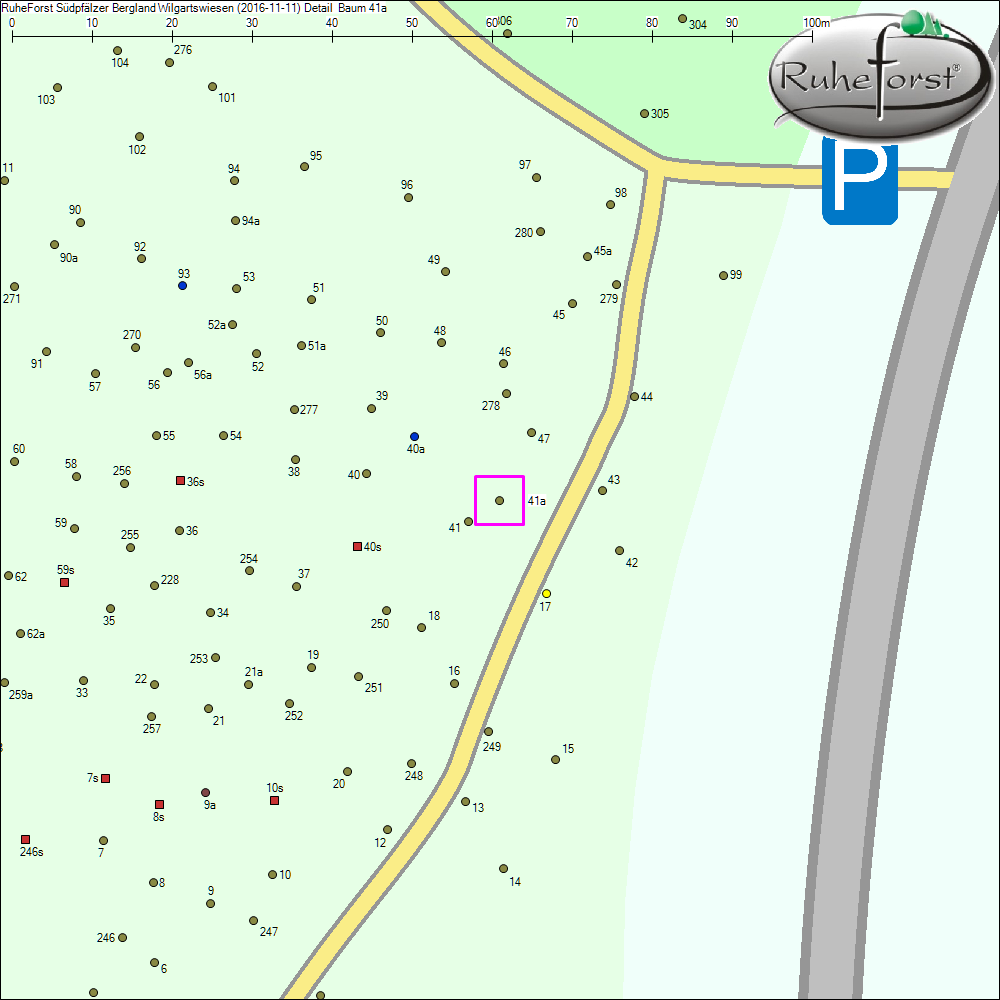 Detailkarte zu Baum 41a