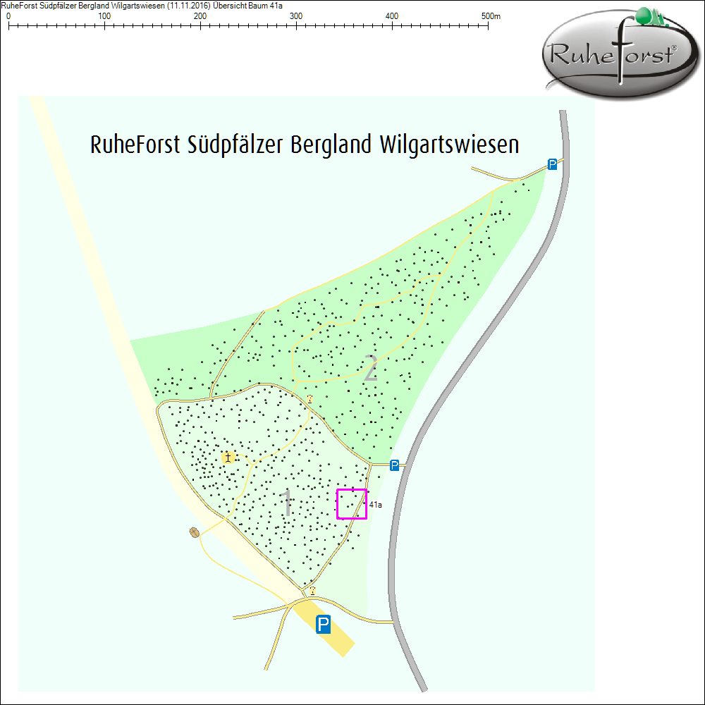 Übersichtskarte zu Baum 41a