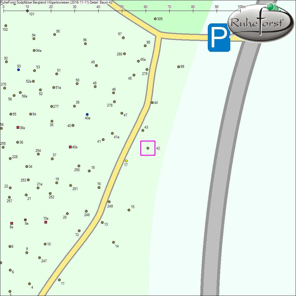 Detailkarte zu Baum 42