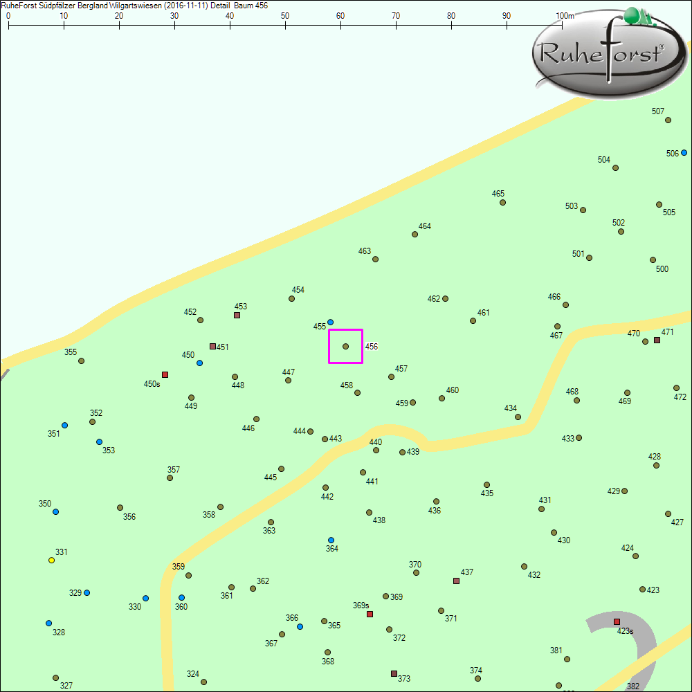 Detailkarte zu Baum 456