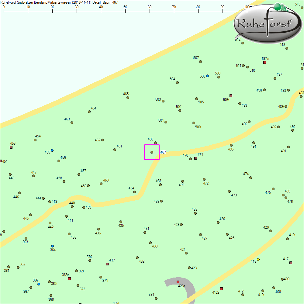 Detailkarte zu Baum 467