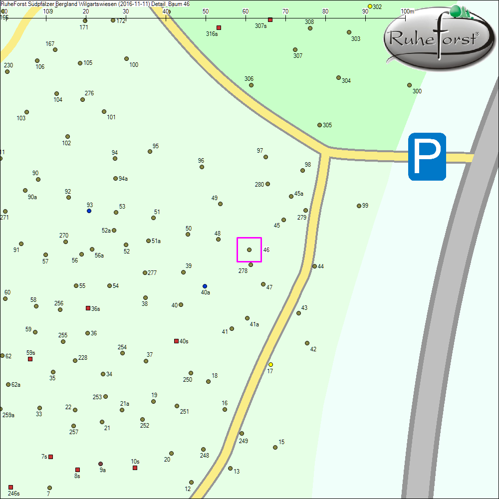 Detailkarte zu Baum 46