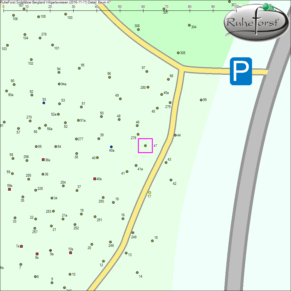 Detailkarte zu Baum 47
