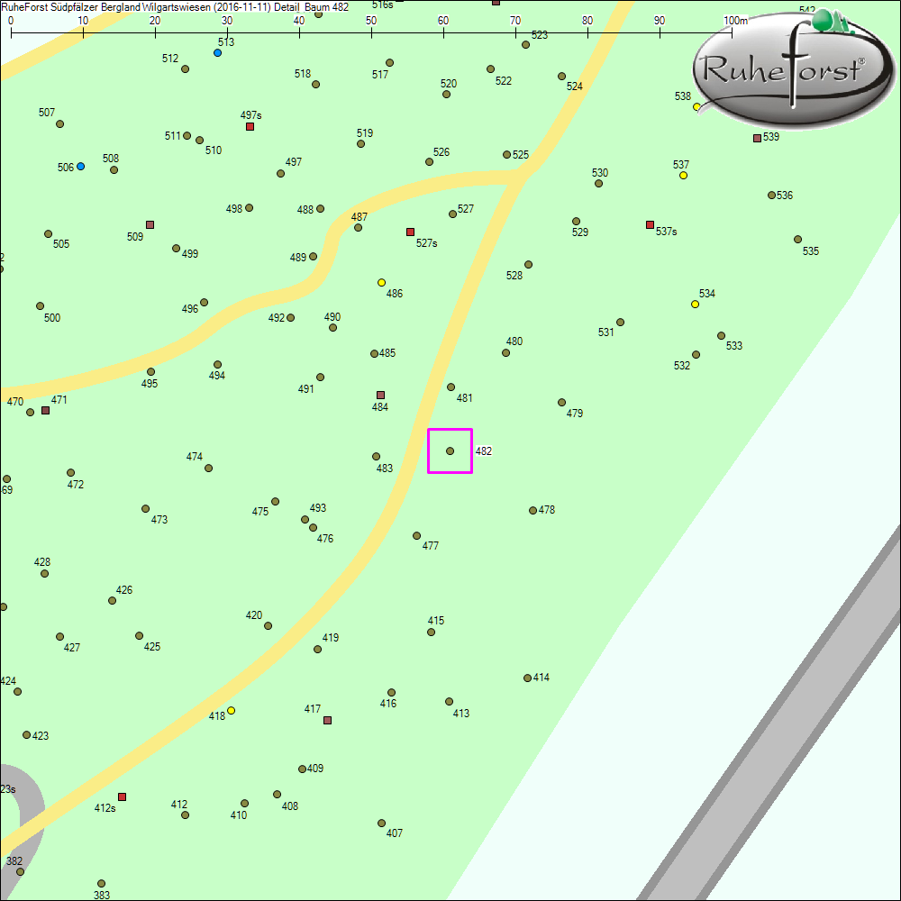 Detailkarte zu Baum 482