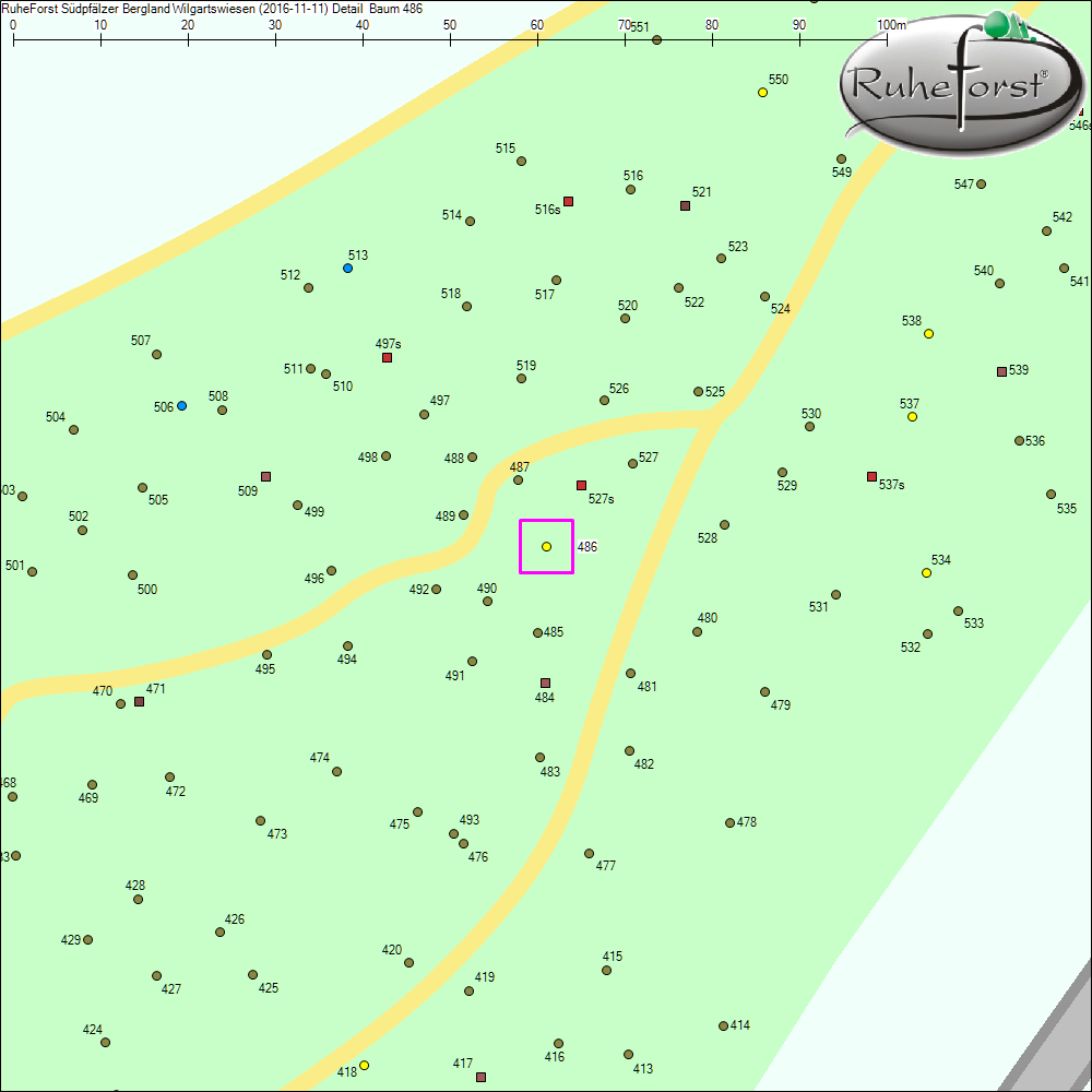 Detailkarte zu Baum 486