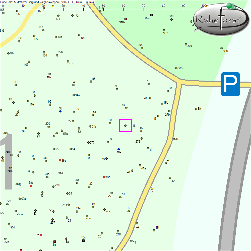 Detailkarte zu Baum 48