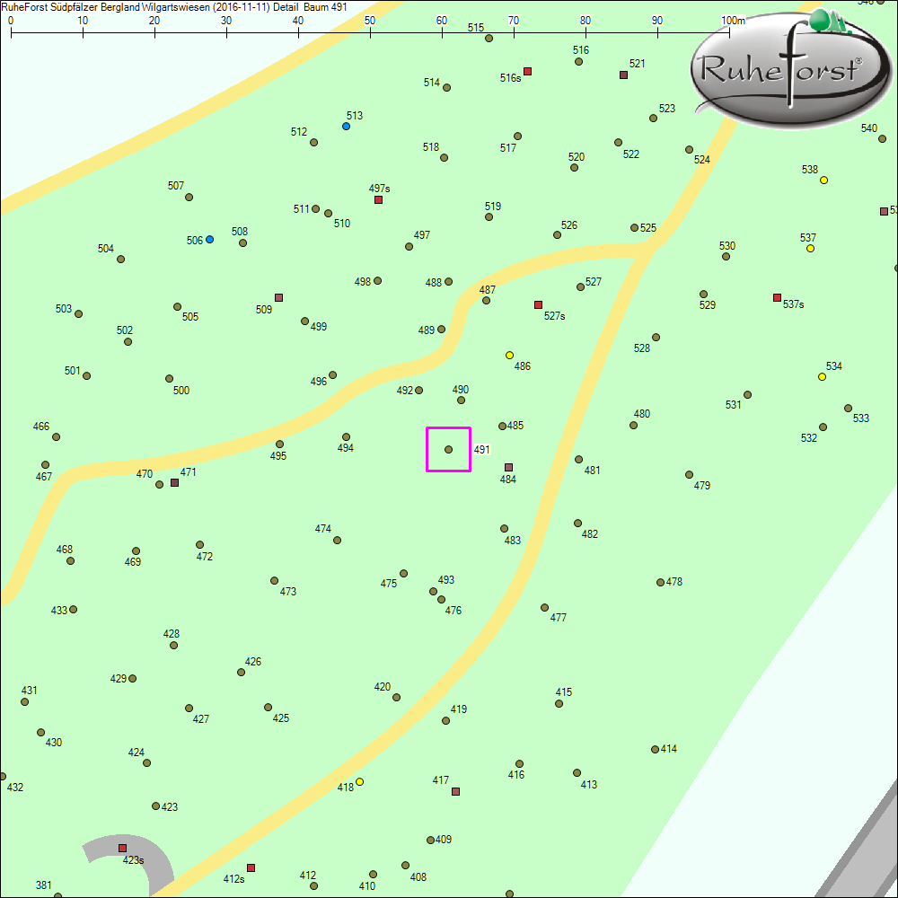 Detailkarte zu Baum 491