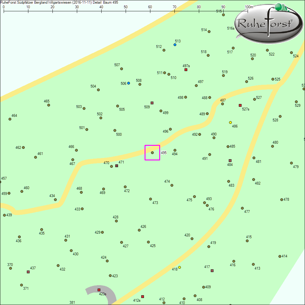 Detailkarte zu Baum 495