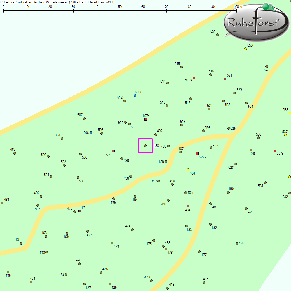 Detailkarte zu Baum 498