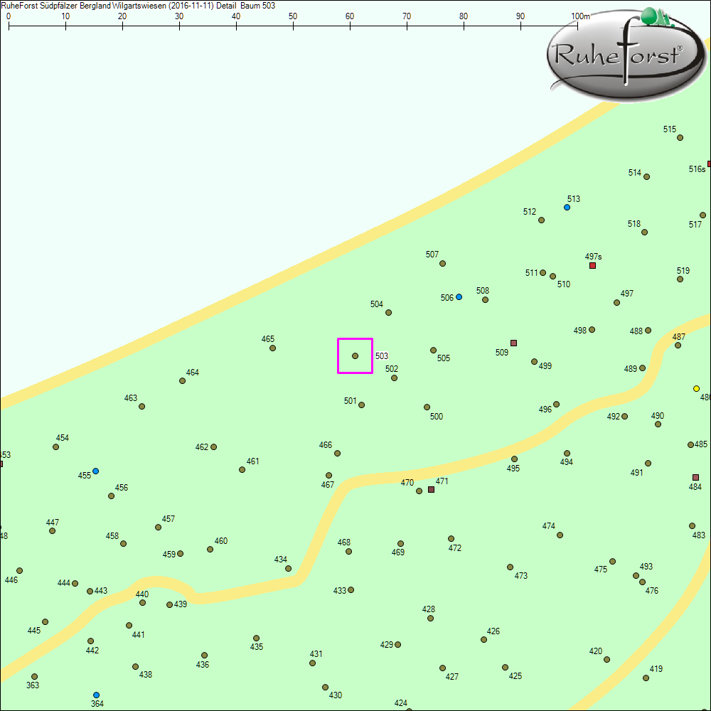 Detailkarte zu Baum 503