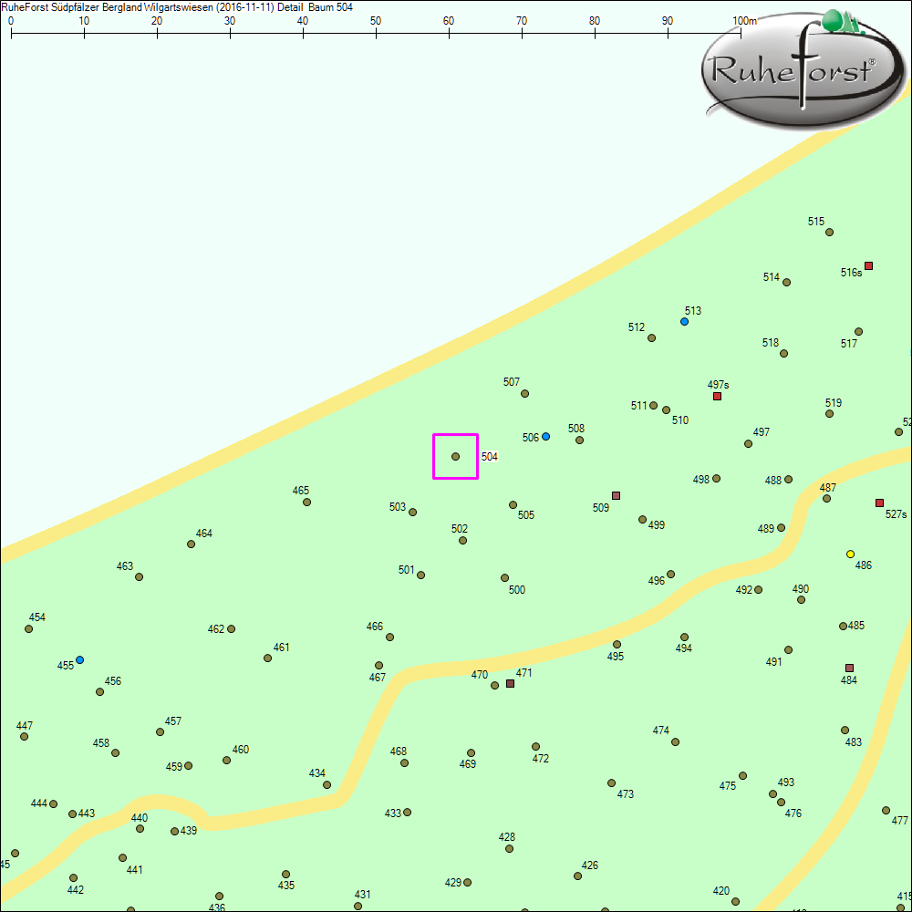 Detailkarte zu Baum 504