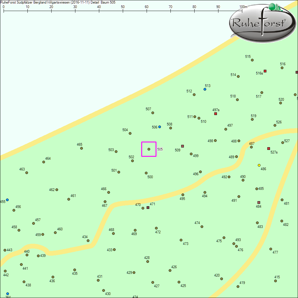 Detailkarte zu Baum 505