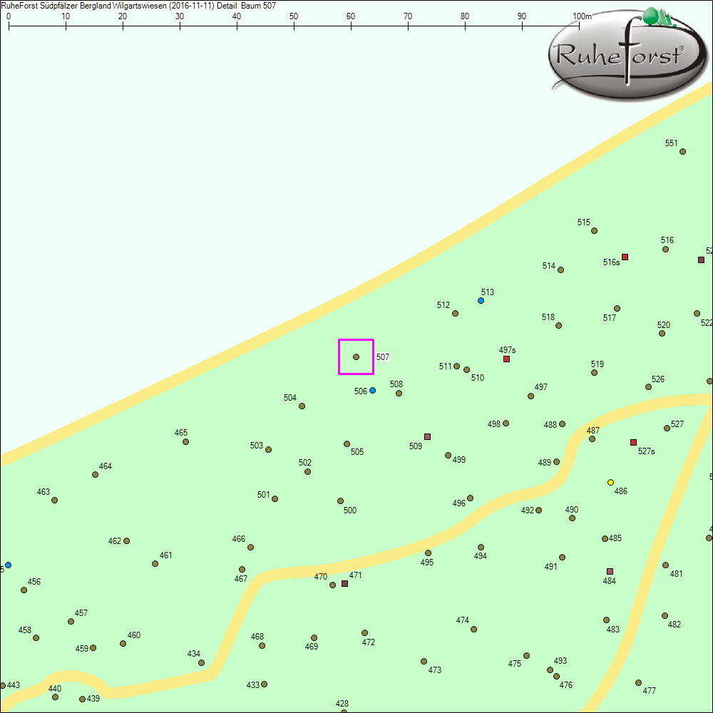 Detailkarte zu Baum 507