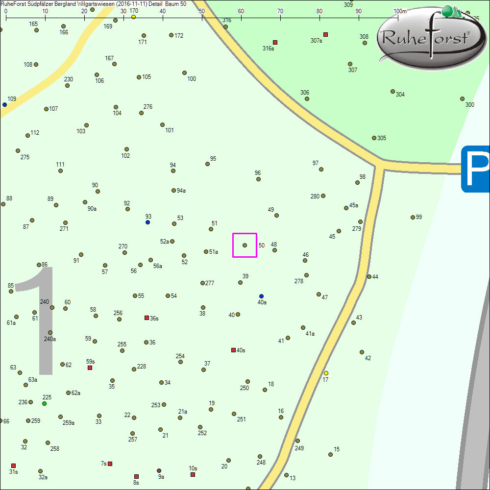 Detailkarte zu Baum 50