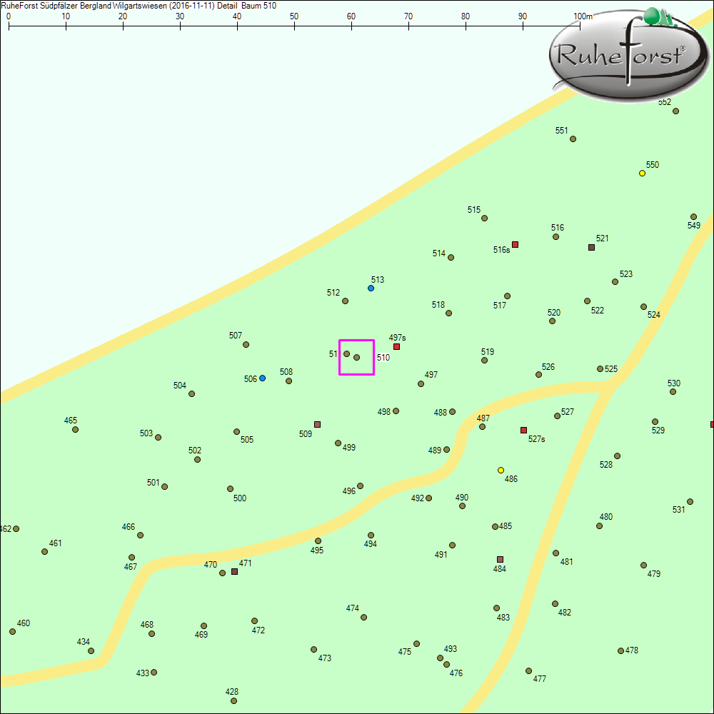 Detailkarte zu Baum 510