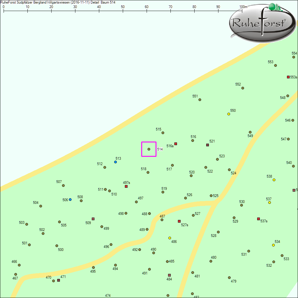 Detailkarte zu Baum 514