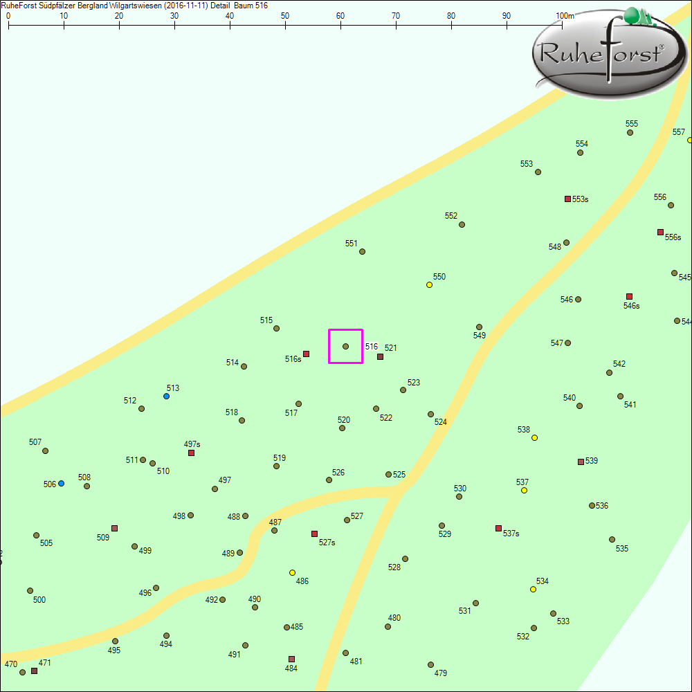 Detailkarte zu Baum 516