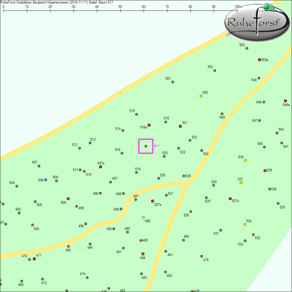 Detailkarte zu Baum 517