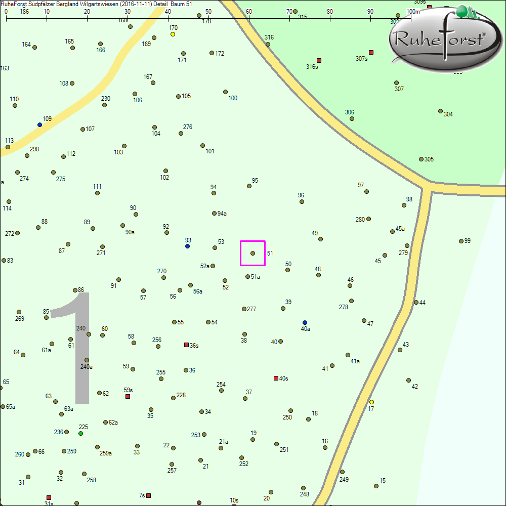 Detailkarte zu Baum 51