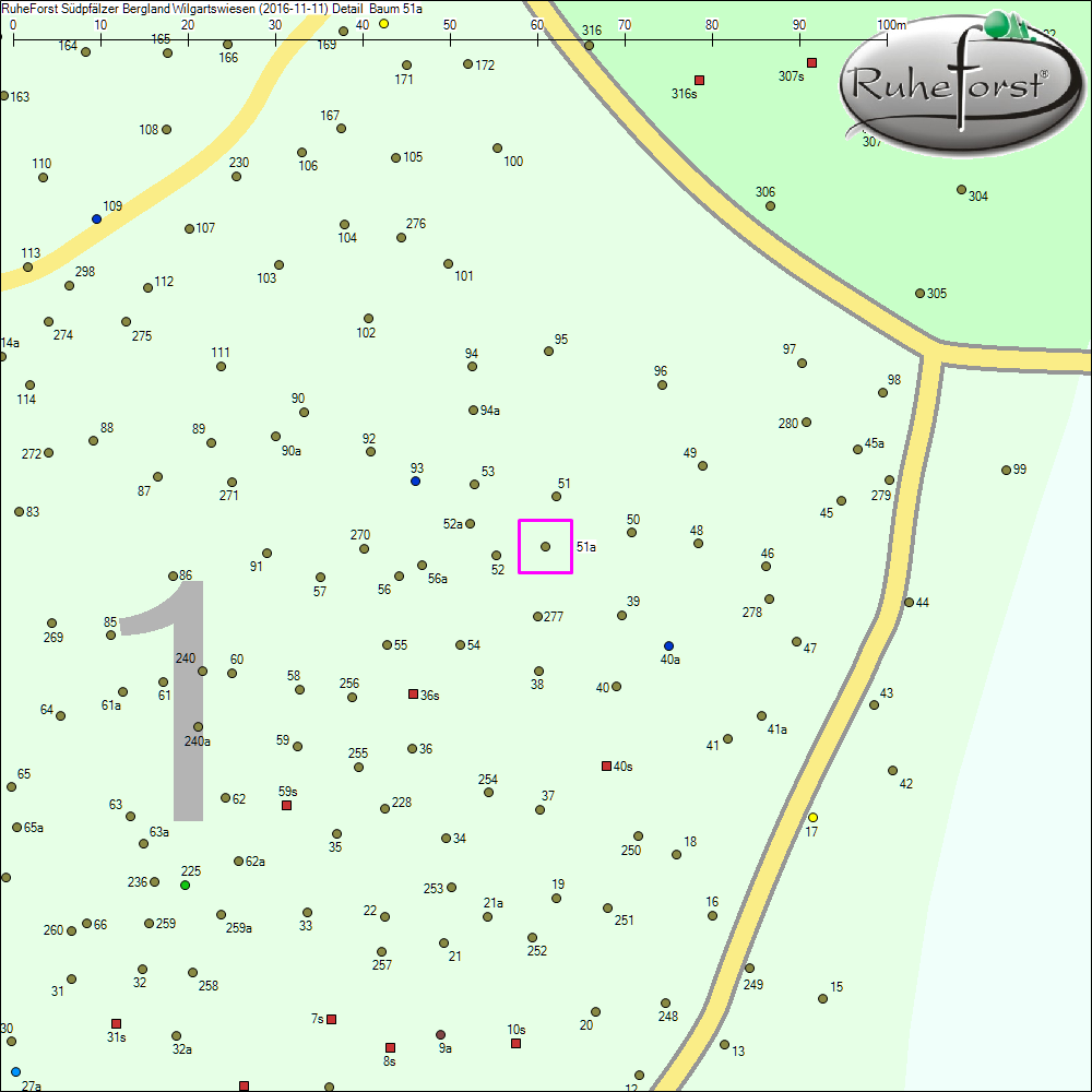 Detailkarte zu Baum 51a