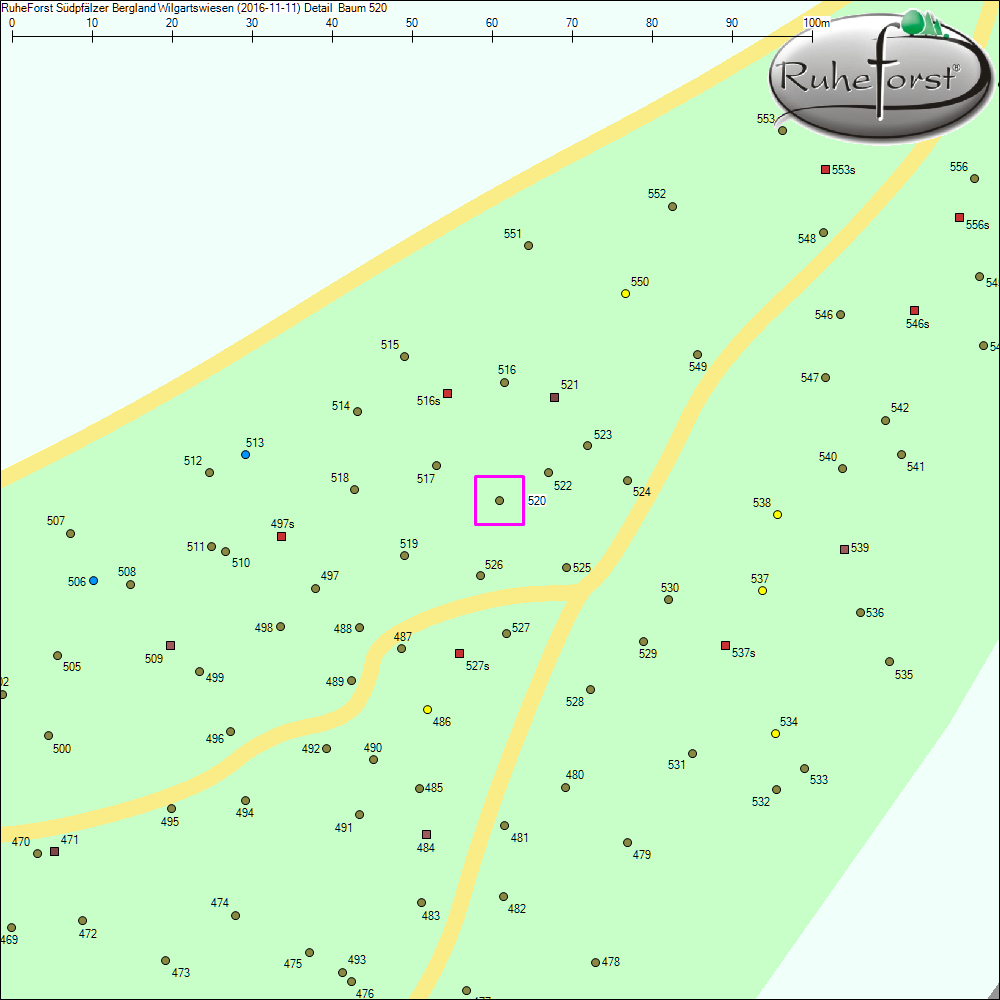 Detailkarte zu Baum 520