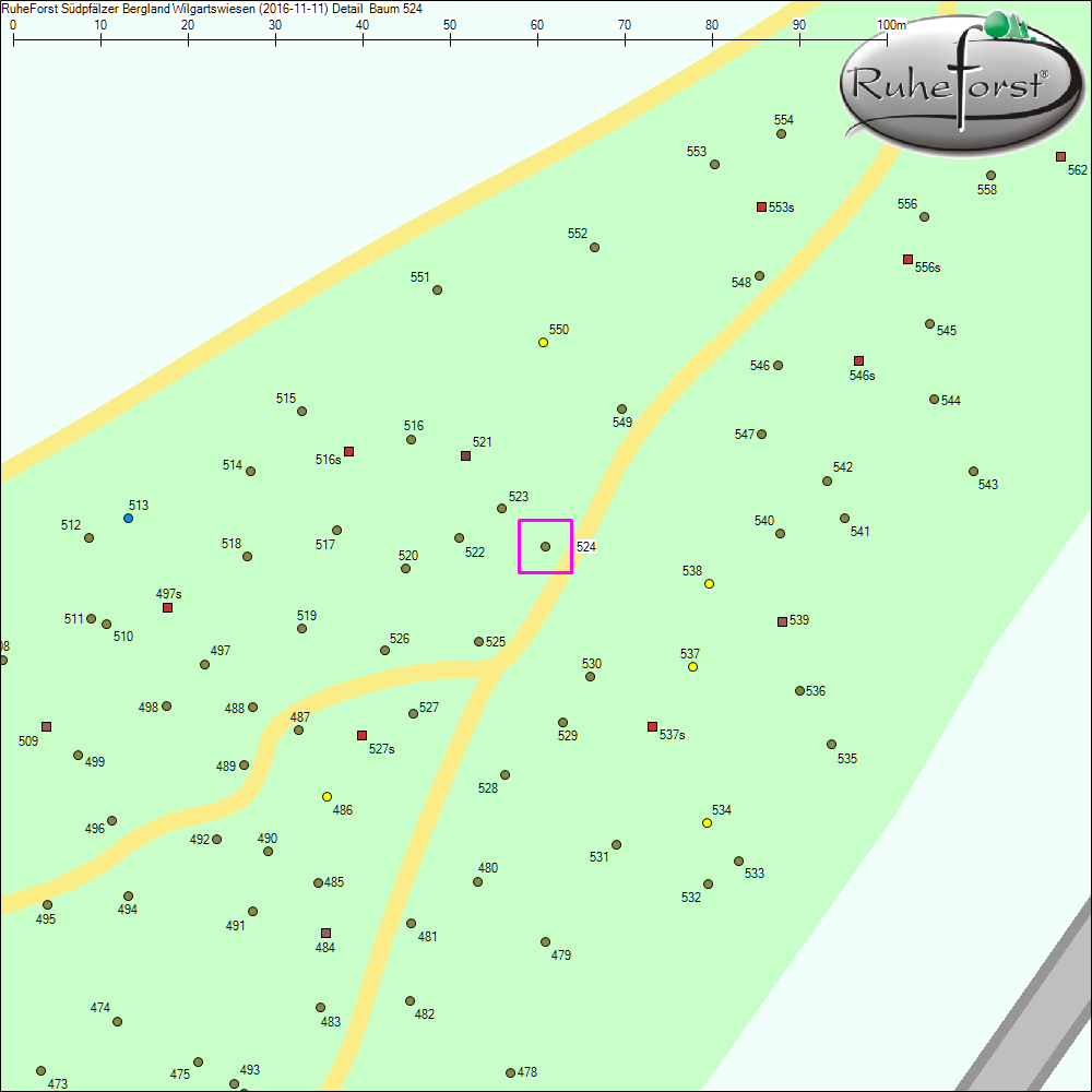Detailkarte zu Baum 524