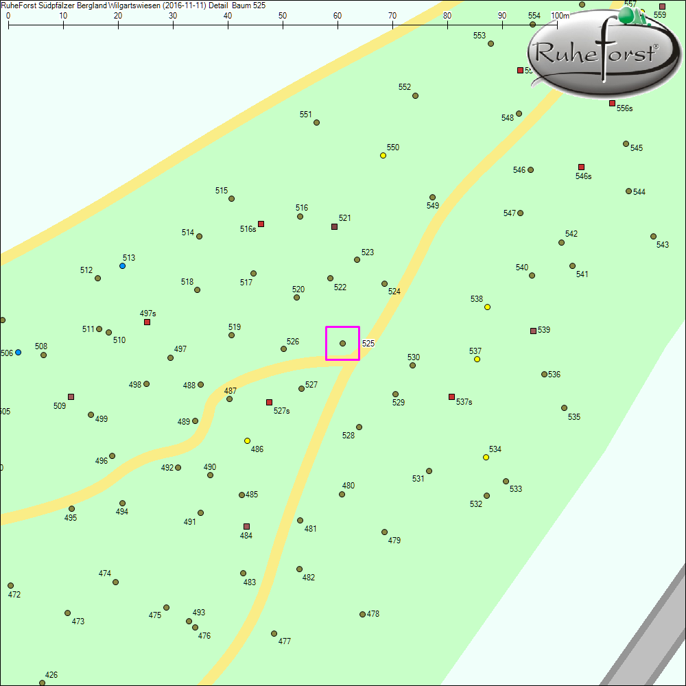 Detailkarte zu Baum 525