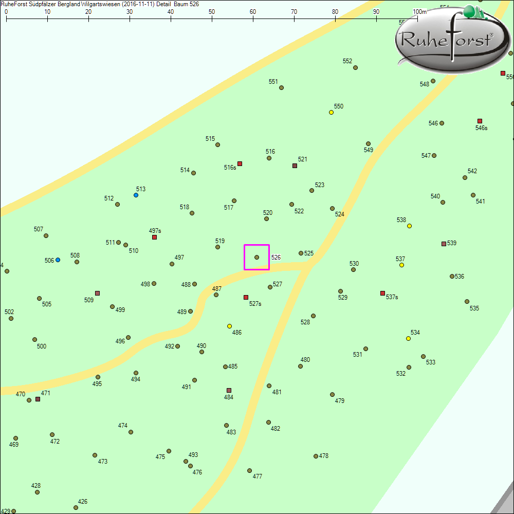 Detailkarte zu Baum 526