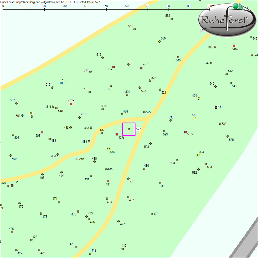 Detailkarte zu Baum 527